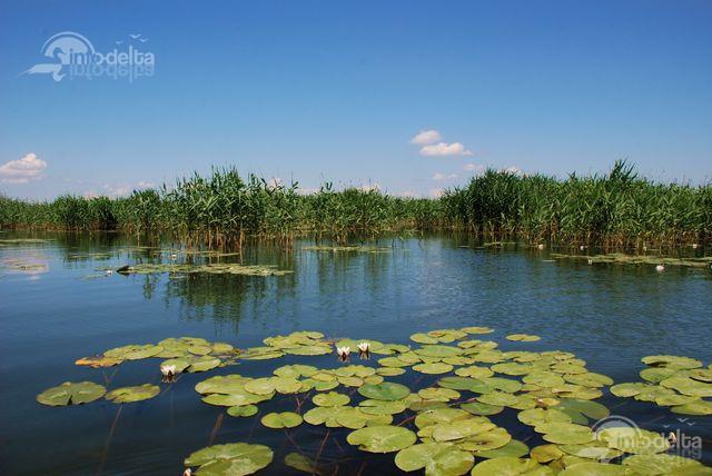 delta - solomon31.jpg